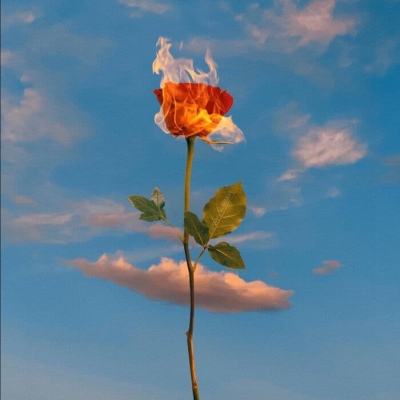 绿地波洛克公馆截图